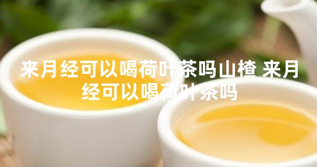 来月经可以喝荷叶茶吗山楂 来月经可以喝荷叶茶吗